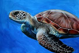 Sea Turtle Painting By Jelena Vicentic