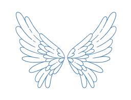 Beautiful Angel Or Bird Wings Vector