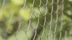 Chain Link Fence In The Garden Uhd