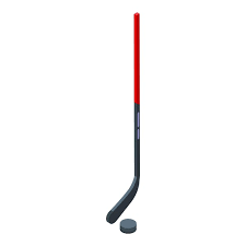 Hockey Stick Icon Isometric Vector Ice