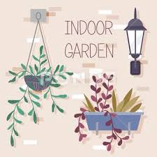 Indoor Garden Plants And Fresh Flowers