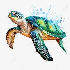 Sea Turtle Watercolor Clipart Ai