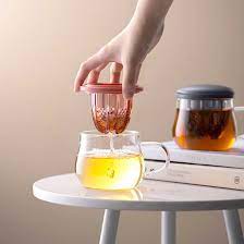 Tea Infuser Fruit Juicer Glass Mug