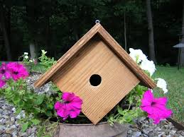 Build A Wren Bird House With Free Plans
