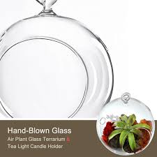 5 5 Glass Plant Terriarium Tealight