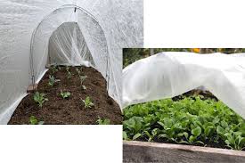 Mini Hoop Tunnels In The Vegetable Garden