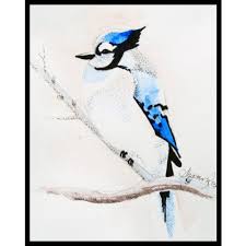 Lessons In Ink Blue Jay Creating A
