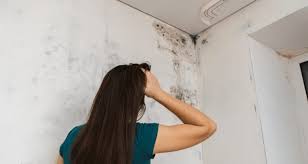 Ing A House With Mold