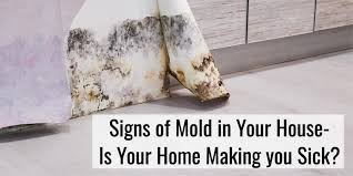 19 Signs Of Mold In Your House Is Mold