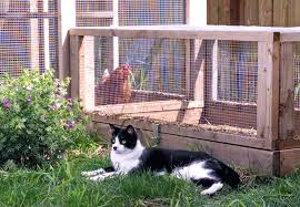 Secure Garden Enclosure