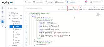 example custom javascript in page builder