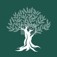 Olive Tree Silhouette Icon Isolated On