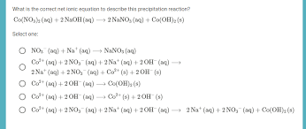 Net Ionic Equation