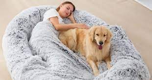 People Are Sleeping In Human Dog Beds