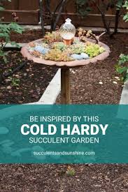Outdoor Succulent Garden With Cold