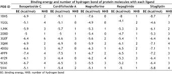 Ligand Protein Interaction
