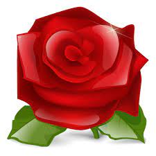 Red Roses Icon Png Transpa