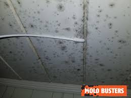 Mold In The Shower Is Your Home At