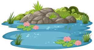 Water Pond Images Free On