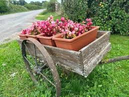 Wheelbarrow With Flowers Images