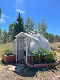 The Ultimate Guide To Growing Corn In A