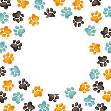 Cute Colored Frame With Cat Paw Print
