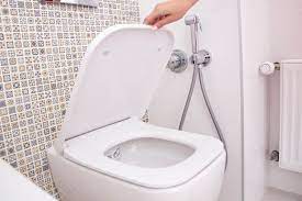 3 Item Can Banish Toilet Seat Stains