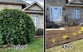 Landscape Renovation Waynesboro