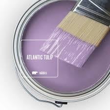 Atlantic Tulip Flat Exterior Paint