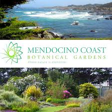 Mcbg Corp 2025 Fort Bragg California