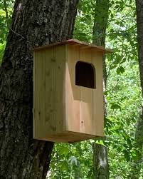 Barn Owl Nest Box Plans
