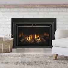 Fireplace Inserts Gas Wood Pellet