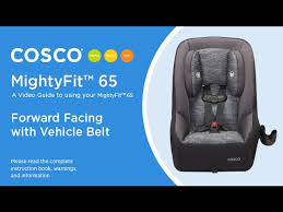 Mightyfit 65 Rear Facing With Vehicle