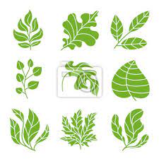 Leaves Icon Set Leaves Logo Design And