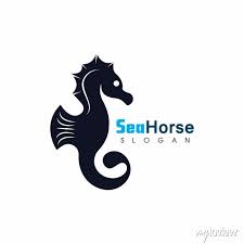 Sea Horse Icon Logo And Symbol Creative