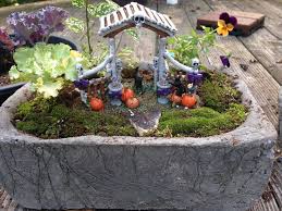 Another Small Moss Fairy Garden For