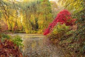 Thenford Arboretum 70 Acres Of