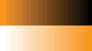 Orange Color Palette Vector Art Icons