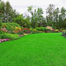 Top 10 Best Lawn Care In Broken Arrow