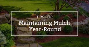 Maintaining Mulch Year Round Patuxent