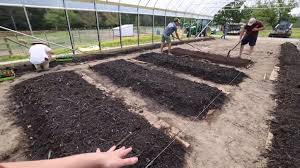 No Till Gardening The Various Methods