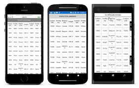 scrolling in xamarin datagrid control