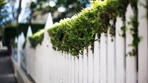 Cons Of Diffe Fencing Options
