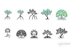 Various Of Mangroves Tree Mangrove