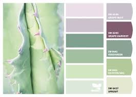 Pistachio Color Lavender Color Palette