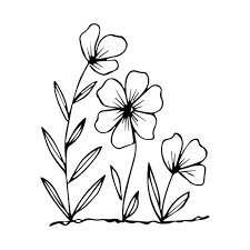 Hand Drawn Blooming Flowers On Flower