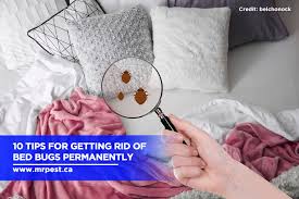 Bed Bugs Permanently