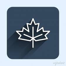 White Line Canadian Maple Leaf Icon