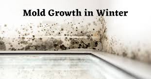 Can We Have Mold Growth In Winter 4