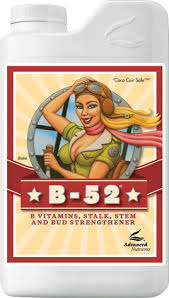 B Vitamin Complex By Advanced Nutrients